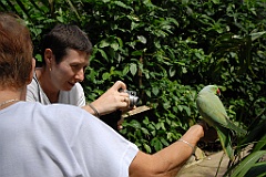 0732 Birdworld Kuranda